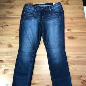Torrid NWOT skinny jean